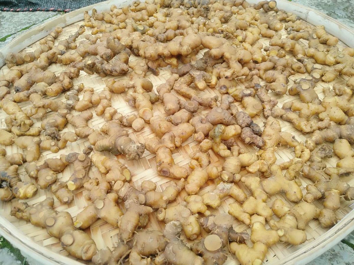 1780454101265757.jpg